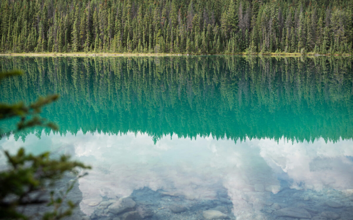 Acque limpide e natura incontaminata: qui i laghi alpini più belli d’Italia dove andare questa Estate Acque limpide e natura incontaminata: qui i laghi alpini più belli d’Italia dove andare questa Estate
