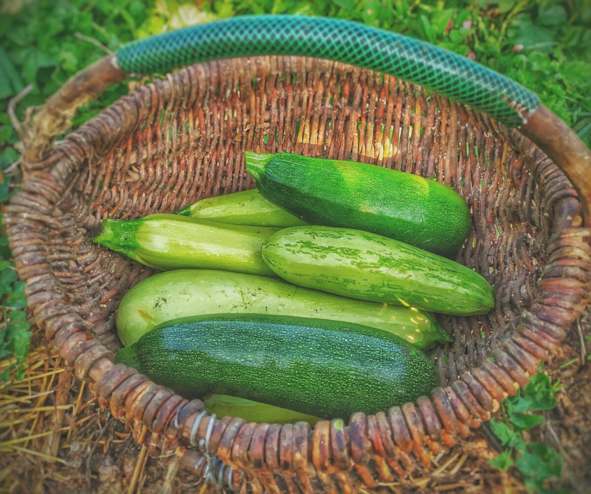 Orto sul balcone: quali verdure coltivare in vaso per ottenere raccolti abbondanti anche in poco spazio