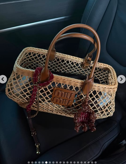 Se ami le borse, la Miu Miu bag di Wanda Nara è quella che devi avere: guardala qui!