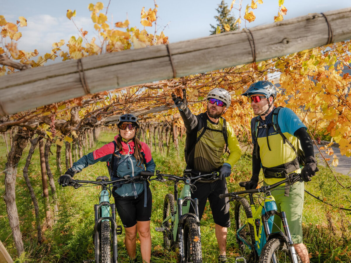 Autunno in Alto Adige: cosa fare tra vigneti, cantine e Törggelen Autunno in Alto Adige: cosa fare tra vigneti, cantine e Törggelen