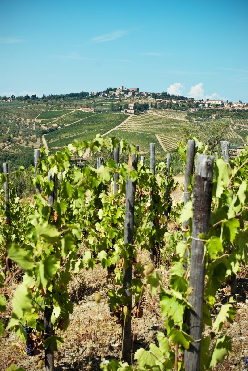 Castagne, vigne e borghi: un itinerario lento tra le colline del Chianti