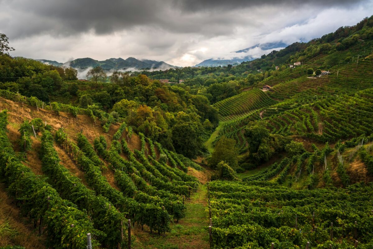 Veneto in autunno: 7 borghi da visitare tra foliage, castelli e sapori tipici Veneto in autunno: 7 borghi da visitare tra foliage, castelli e sapori tipici